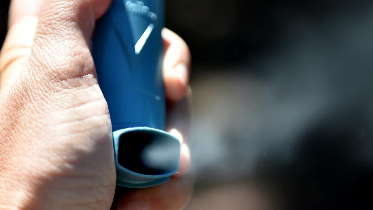 A greener way to fight asthma